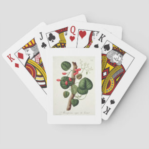 Baraja De Cartas Menispermum de "Phytographie Medicale" por José