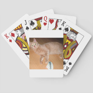 BARAJA DE CARTAS MEOW