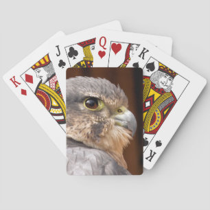 BARAJA DE CARTAS MERLIN FALCON BIRD DE PRESA