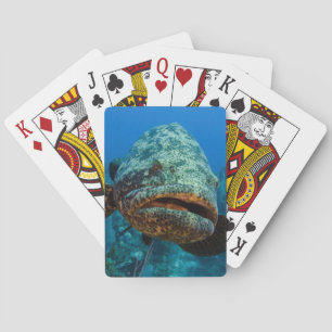 Baraja De Cartas Mero Goliat Atlántico