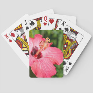 Baraja De Cartas Míchigan, Dearborn. Detalle de Hibisco Rosa