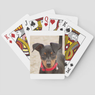 Baraja De Cartas mini-pinscher-negro y óxido