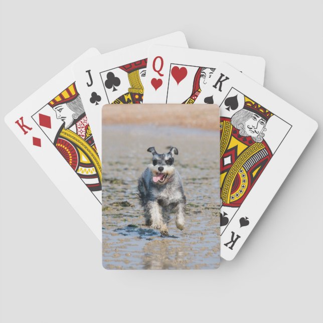 Baraja De Cartas mini schnauzer-funcionamiento (Reverso)