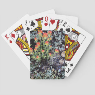 Baraja De Cartas Miniature Garden at Gem Lake