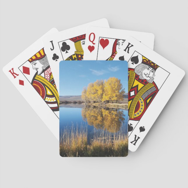 Baraja De Cartas Mirror Pond Playing Cards (Reverso)