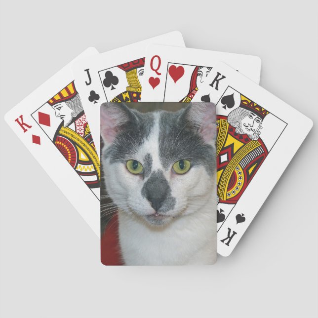 Baraja De Cartas Mister Pants (Reverso)