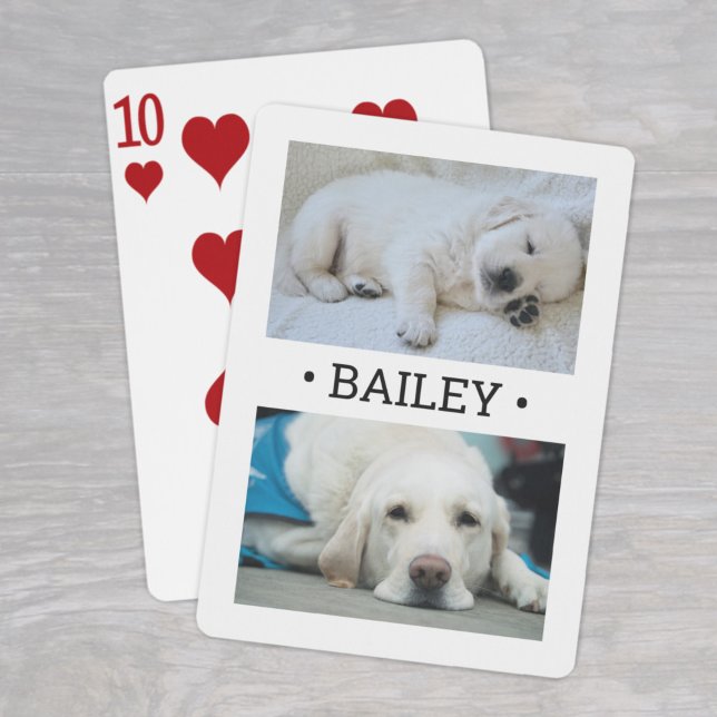 Baraja De Cartas Moderno 2 Perro fotográfico o cualquier nombre bla (Subido por el creador)