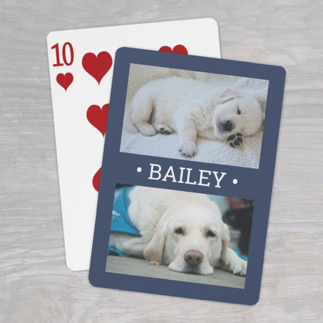Baraja De Cartas Moderno 2 perro fotográfico o cualquier nombre de  (Subido por el creador)
