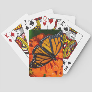 Baraja De Cartas Monarch