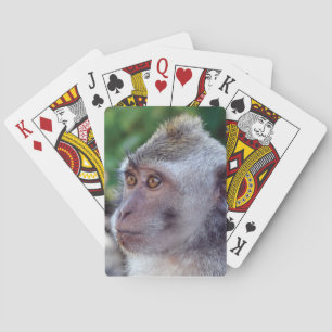 Baraja De Cartas Mono