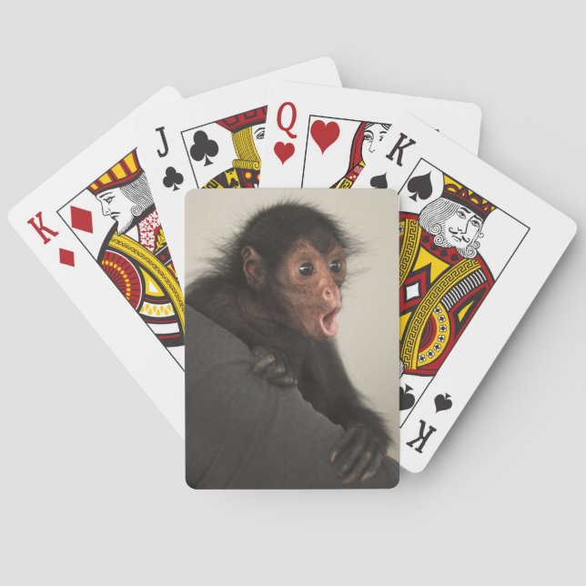 Baraja De Cartas Mono araña de cara roja Ateles paniscus) (Reverso)