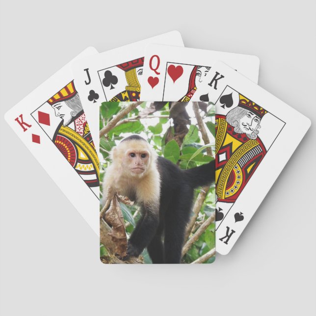 Baraja De Cartas Mono en Costa Rica (Reverso)