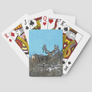 Baraja De Cartas Monster mule deer buck