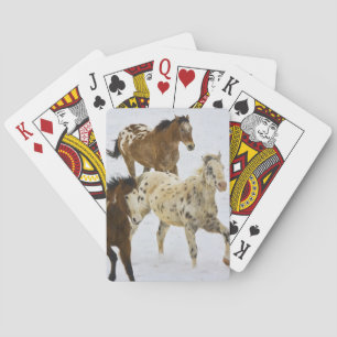 Baraja De Cartas Montañas Big Horn, caballos corriendo en la nieve