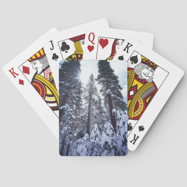 Baraja De Cartas Montañas California, Sierra Nevada 9 (Reverso)
