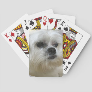 Baraja De Cartas Mookee el perro de Lasa Apso