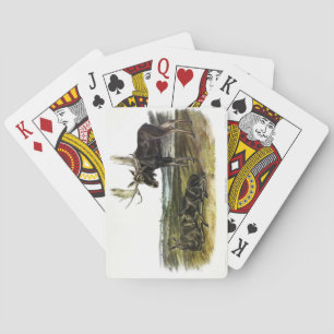 Baraja De Cartas Moose Deer (Moose - Alces alces) de Audubon