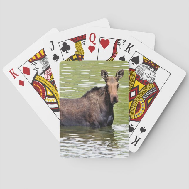 Baraja De Cartas Moose majestuoso (Reverso)