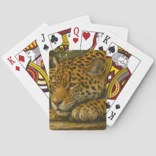 Baraja De Cartas Mortalidad dorada - Leopardo en reposo