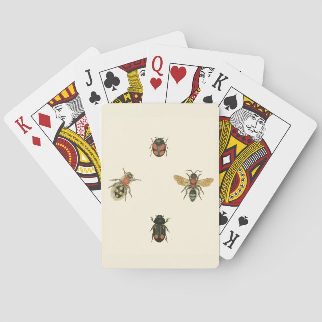 Baraja De Cartas Moscas y escarabajos por Vision Studio (Reverso)