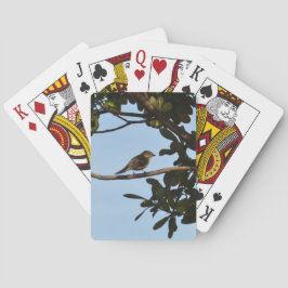 Baraja De Cartas Mosquitero común