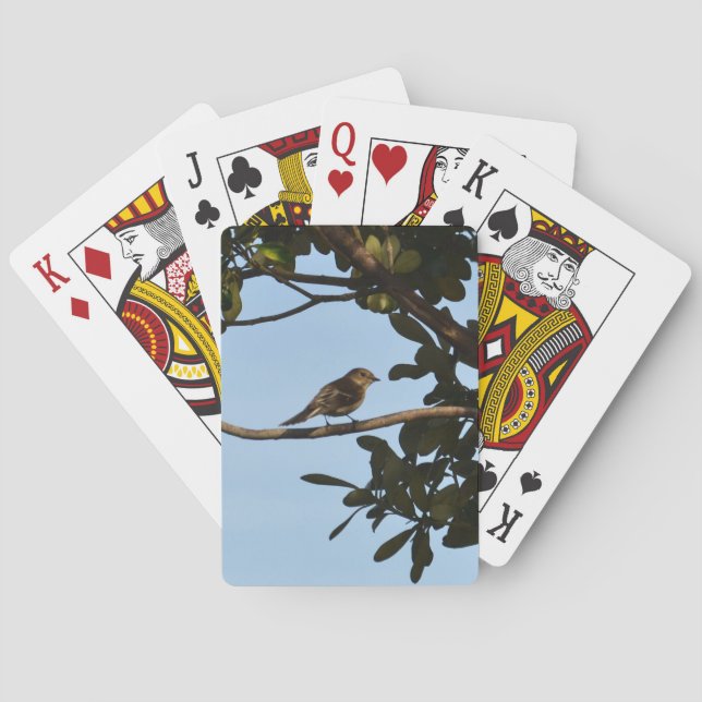 Baraja De Cartas Mosquitero común (Reverso)