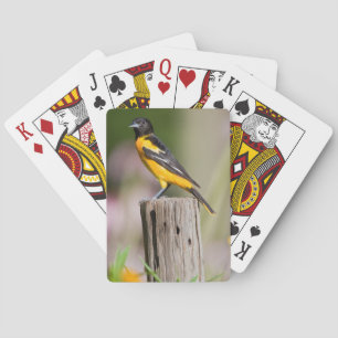 Baraja De Cartas Mujer Baltimore Oriole en el jardín de flores