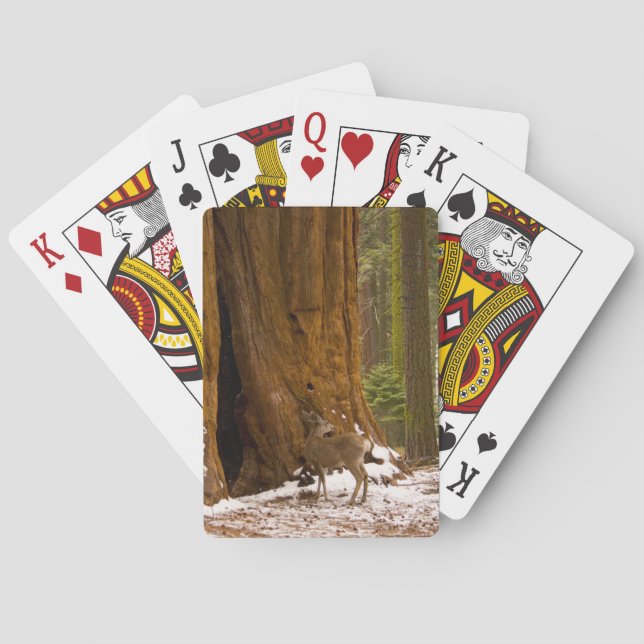 Baraja De Cartas Mule Deer (Reverso)