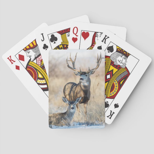 Baraja De Cartas Mule Deer Buck and Doe (Reverso)