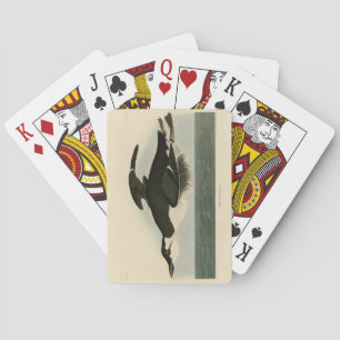 Baraja De Cartas Murre de factura muy delgada - Los pájaros de Amér