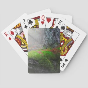 Baraja De Cartas Musgo en el bosque