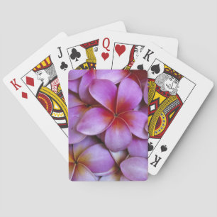 Baraja De Cartas N.A., EE. UU., Maui, Hawái. Flores de plumeria ros