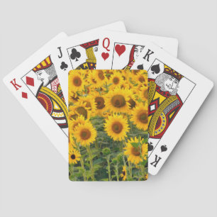 Baraja De Cartas Na, EE. UU., Colorado, Girasoles