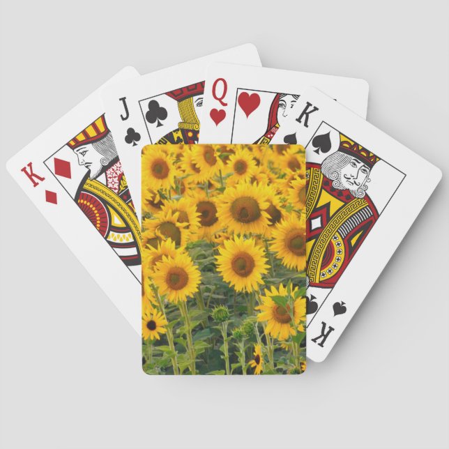 Baraja De Cartas Na, EE. UU., Colorado, Girasoles (Reverso)
