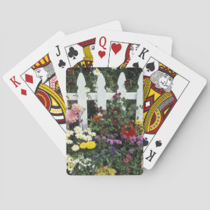 Baraja De Cartas NA, EE. UU., Washington, Sammamish, Estaca blanca