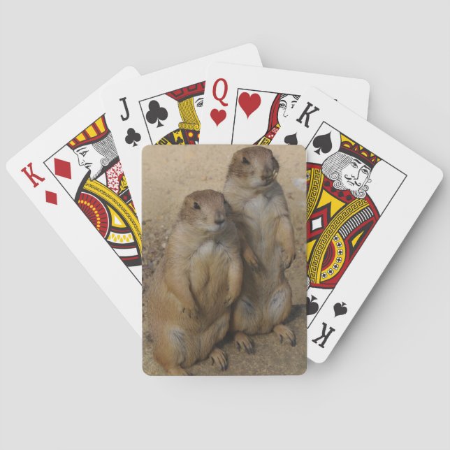 Baraja De Cartas Naipe del perro de las praderas (Reverso)