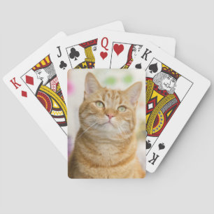 Baraja De Cartas Naranja dulce Tabby Cat