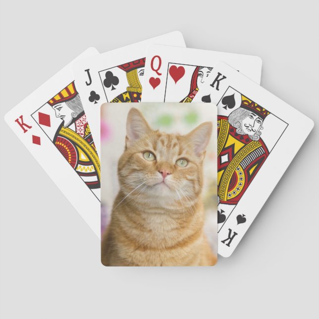 Baraja De Cartas Naranja dulce Tabby Cat (Reverso)