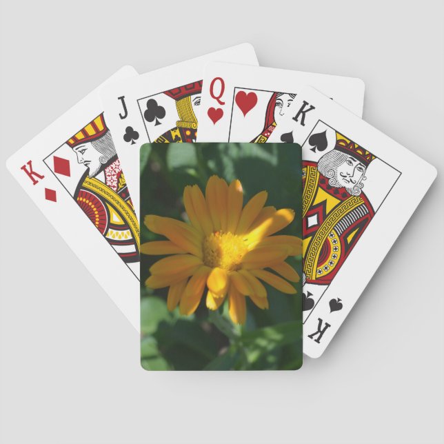 Baraja De Cartas Naranja Pot Marigold Flor (Calendula officinalis) (Reverso)