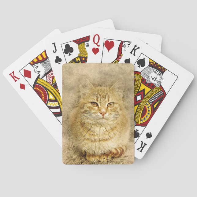 Baraja De Cartas Naranja Tabby Cat (Reverso)