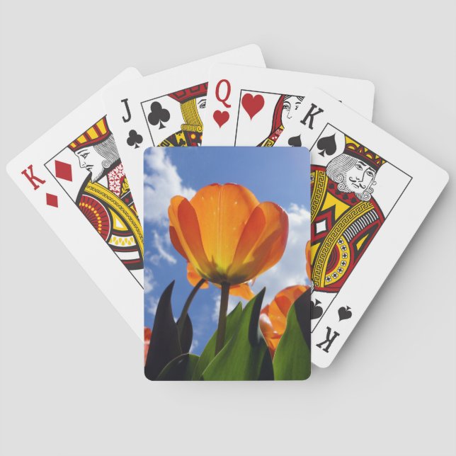 Baraja De Cartas Naranja Tulip, cielo azul (Reverso)