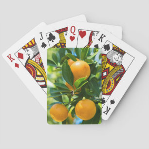 Baraja De Cartas Naranjo en fruto