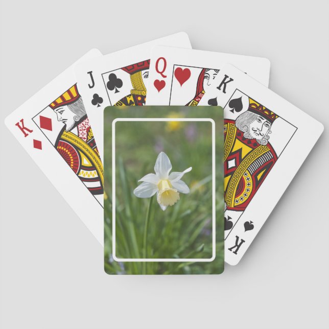 Baraja De Cartas Narciso (Reverso)