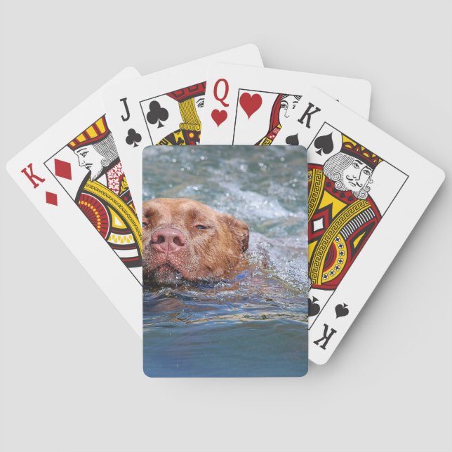 Baraja De Cartas Natación del perro (Reverso)