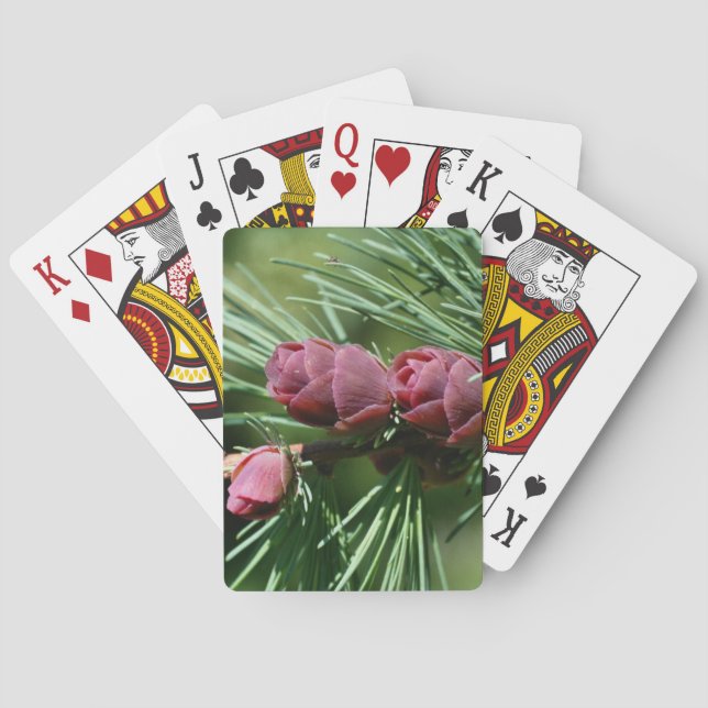 Baraja De Cartas Naturaleza de los pimientos en miniatura (Reverso)