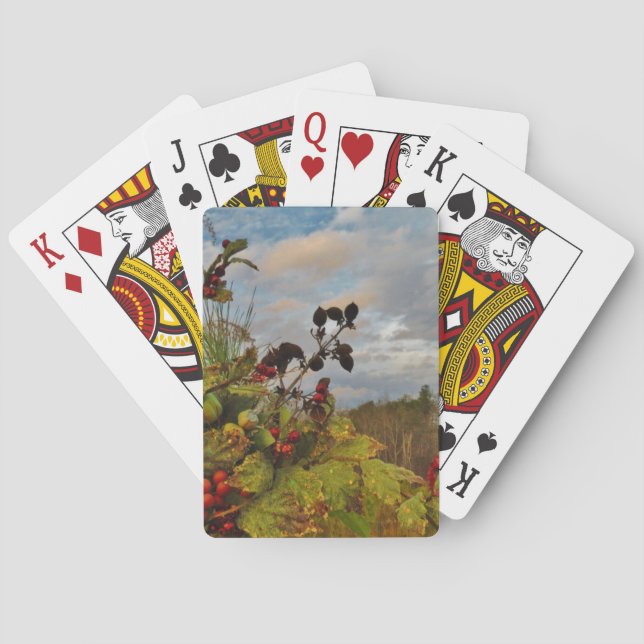 Baraja De Cartas Navidades elegantes de Holly, (Reverso)