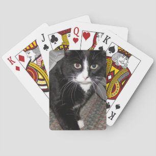 Baraja De Cartas Negro y blanco del gato del tuxedo