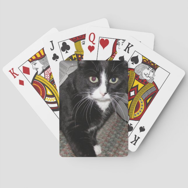 Baraja De Cartas Negro y blanco del gato del tuxedo (Reverso)