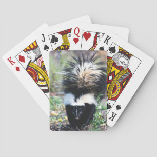 Baraja De Cartas Negro y blanco del zorrillo