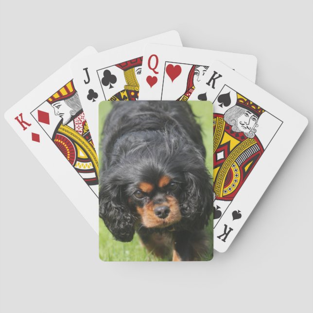 Baraja De Cartas Negro y Tan Cavalier Rey Charles Spaniel Dog (Reverso)